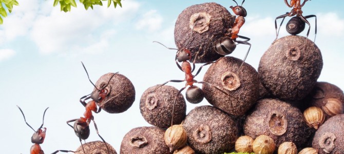 STIPA CA TRUOV!  TI E’ MAI CAPITATO DI PAGARE QUA, PAGARE LA’ E VEDERE CHE ALLA FINE DEL MESE NON TI RESTA NIENTE?