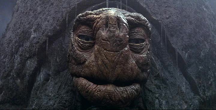 gestione tessuti molli - Morla