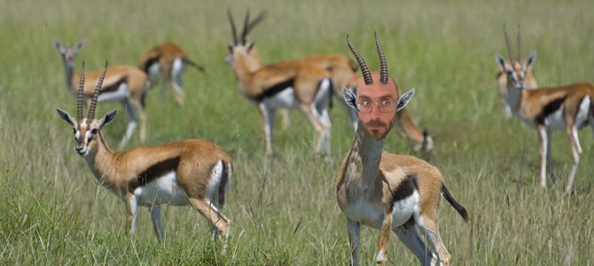 COSA C’ENTRANO LE GAZZELLE CON IL MANAGEMENT ODONTOIATRICO?