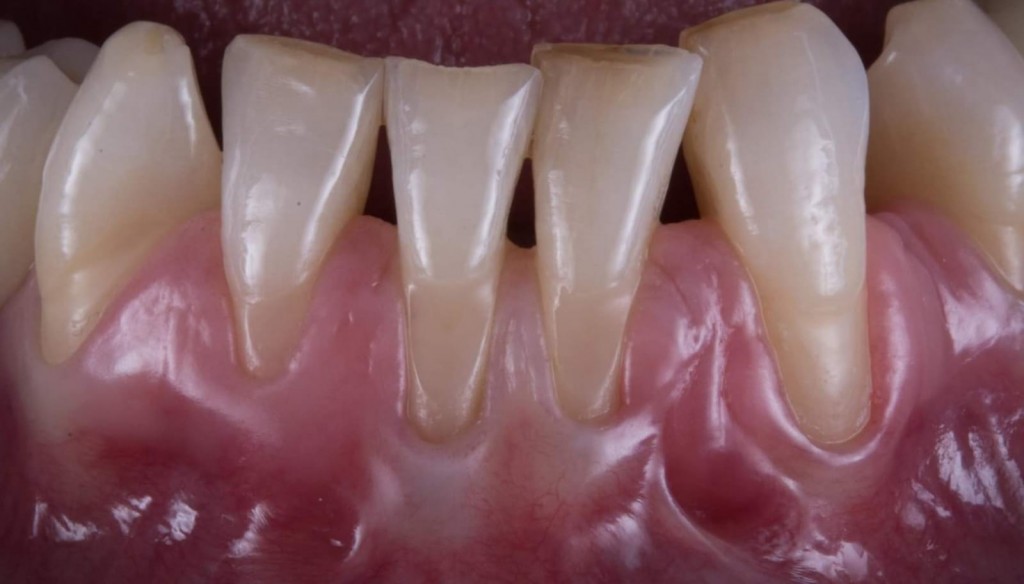 WhatsApp Image 2019-03-13 at 18.15.02