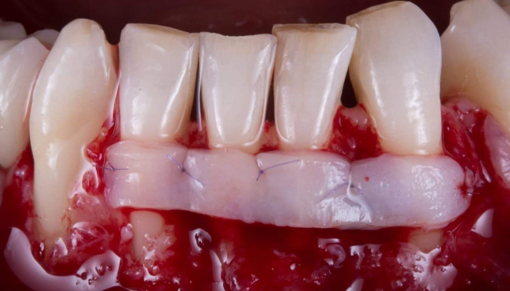 WhatsApp Image 2019-03-13 at 18.15.31